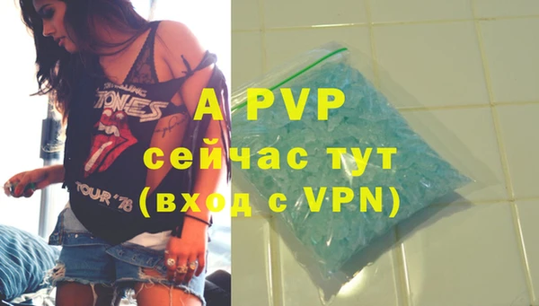 дурь Новодвинск