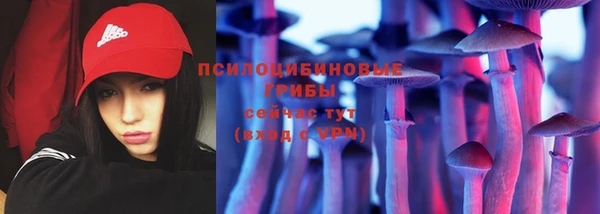 дурь Новодвинск