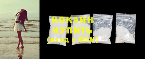 дурь Новодвинск