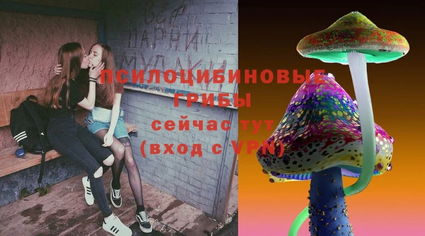 дурь Новодвинск