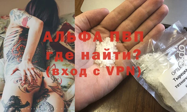 гашик Пересвет