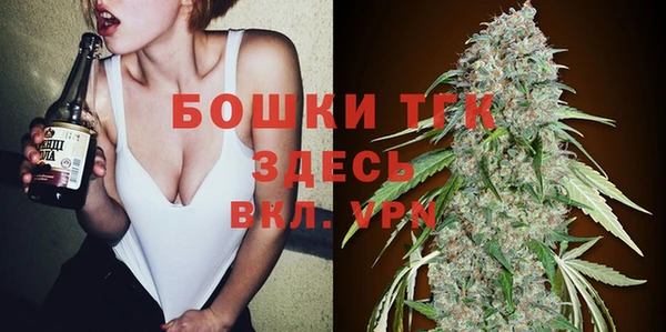 гидра Переславль-Залесский
