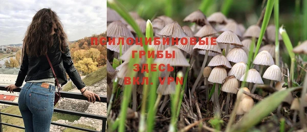 круглые Новозыбков