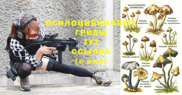 дурь Новодвинск