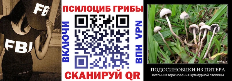 купить наркотики цена  Углегорск  Псилоцибиновые грибы мухоморы 